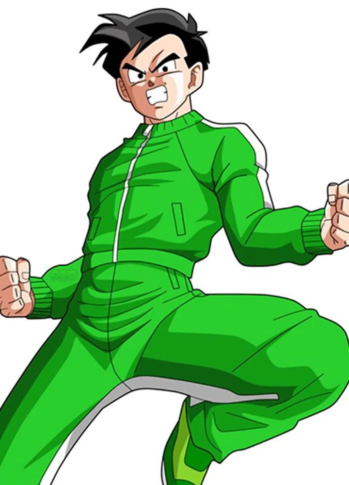 gohan-dragon-ball-super-jacket.webp